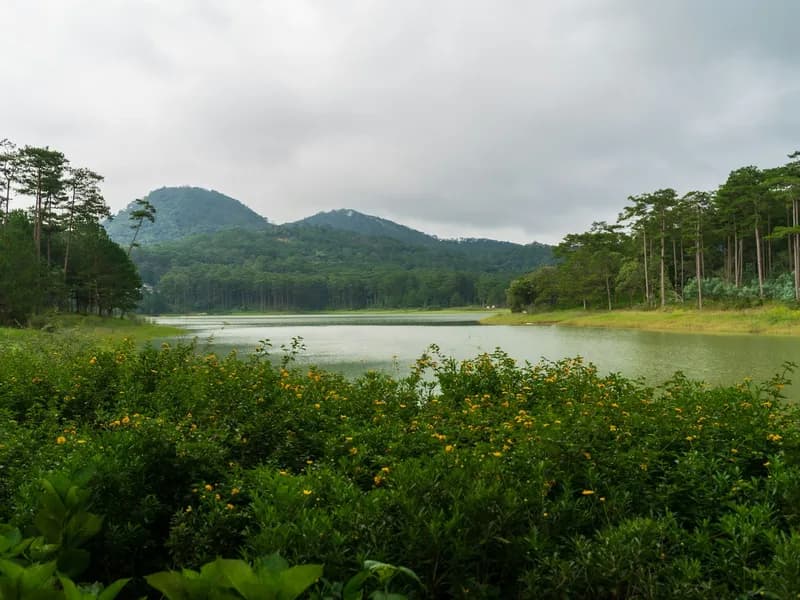 Da Lat