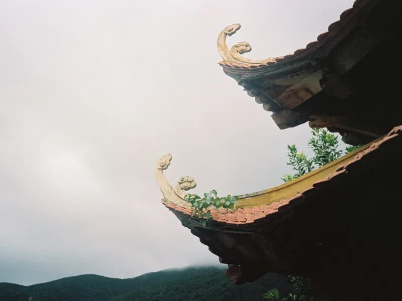Con Dao